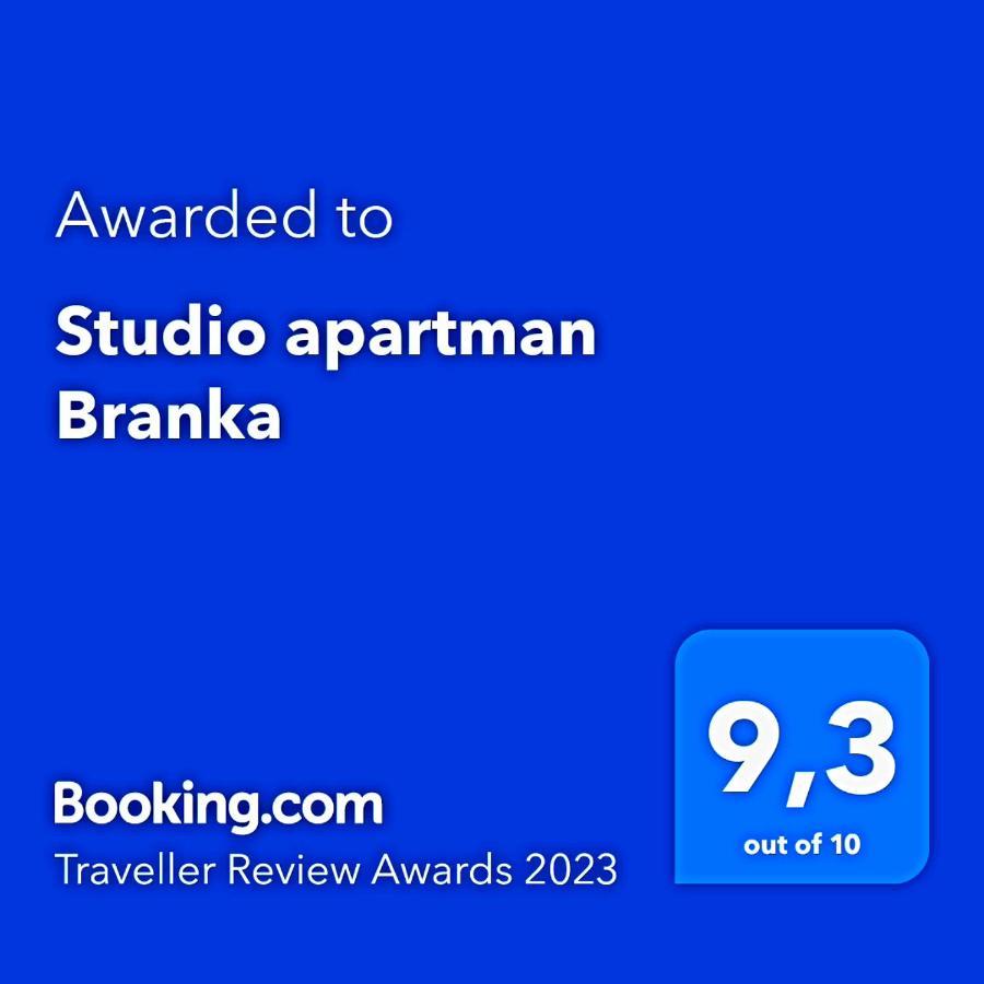 Studio Apartman Branka Labin  Exterior photo